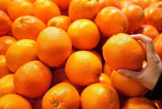 橘子和桔子有什么区别（橘子和桔子有什么区别功效如何用途怎么用）