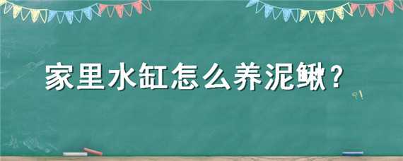 家里水缸怎么养泥鳅（家里水缸怎么养泥鳅视频）