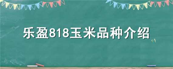 乐盈818玉米品种介绍 丰乐818玉米种特性