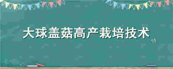 大球盖菇高产栽培技术（大球盖菇高产栽培技术视频）