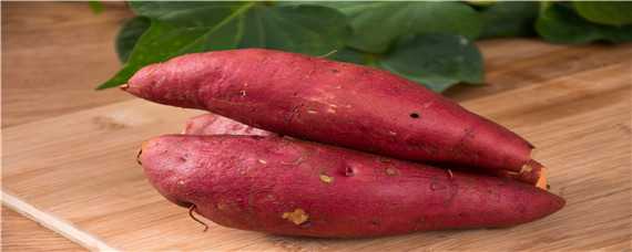 春红薯种植时间 春红薯种植时间与温度