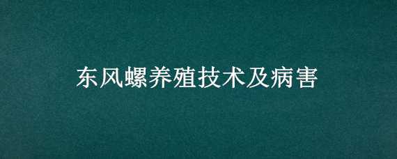 东风螺养殖技术及病害 秋季养殖东风螺病害防治