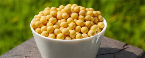 黄豆种植时间和生长期是多少天 黄豆种植时间和生长期