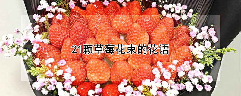 21颗草莓花束的花语（22颗草莓花束的花语）