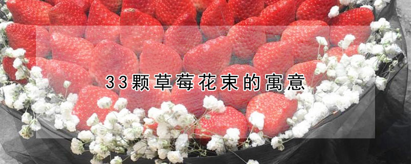 33颗草莓花束的寓意 草莓花束30颗代表
