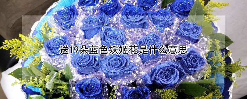 送19朵蓝色妖姬花是什么意思 送一朵蓝色妖姬代表什么意思