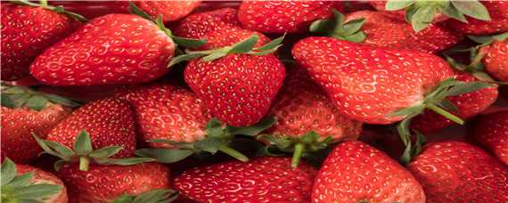 哪个品种草莓最甜