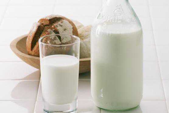 成年后每天喝牛奶有什么用吗 成年了还要每天喝牛奶吗