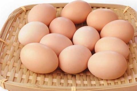 鸭蛋与鸡蛋的功效与作用