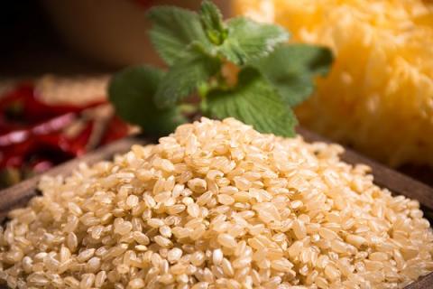 大麦米的功效与作用 大麦米的功效与作用及食用方法有哪一些