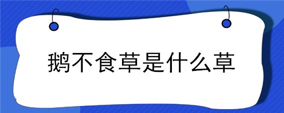 鹅不食草是什么草（什么叫鹅不食草）