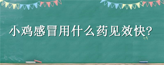 小鸡感冒用什么药见效快（鸡感冒了用什么药好）