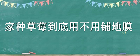 家种草莓到底用不用铺地膜 在家种草莓需要铺地膜么