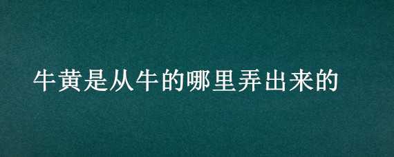 牛黄是从牛的哪里弄出来的 牛黄是从牛的哪里弄出来的啊