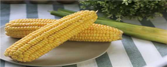 迪卡2188玉米种子介绍 迪卡2188玉米种子积温多少