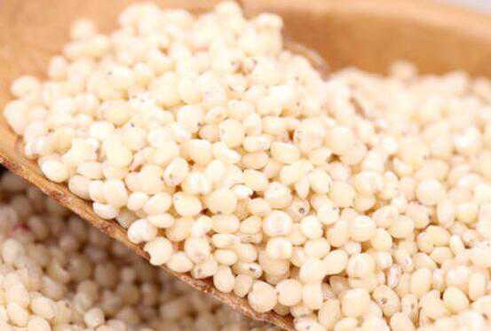 高粱米的功效与作用，高粱米怎么吃 高粱米的吃法与功效
