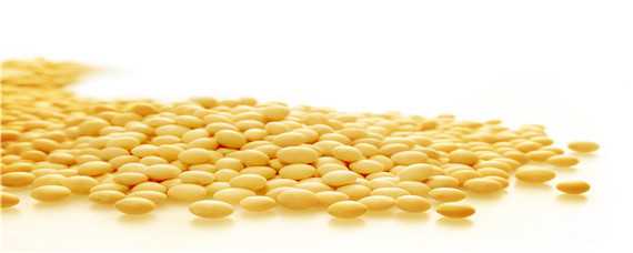 大豆怎样发酵做有机肥