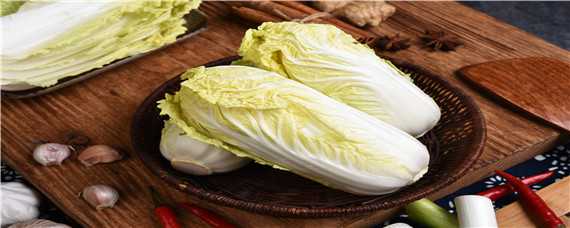 白菜最低生长温度是多少 白菜最低生长温度是多少