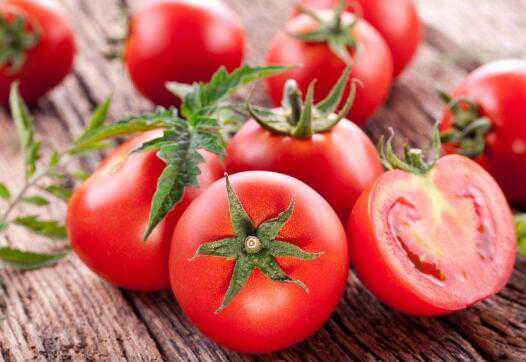 西红柿和番茄的区别