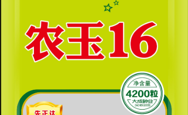 里玉16玉米种 农玉16玉米品种介绍