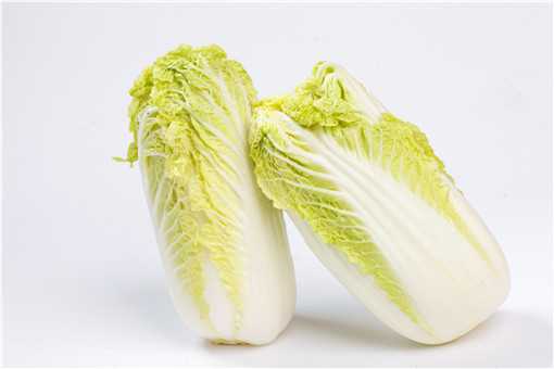 大白菜如何种植方法 怎样种植大白菜步骤