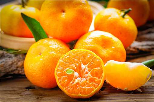 种橘子怎么种
