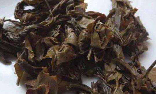 茶叶渣如何做肥料 茶叶渣晒干后做肥料的方法