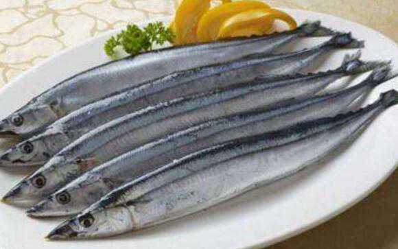 刀鱼和带鱼的区别，吃刀鱼的好处 刀鱼和带鱼的区别,吃刀鱼的好处是什么