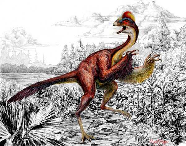 明明是恐龙，凭啥却被叫做鸡 明明是恐龙,凭啥却被叫做鸡龙