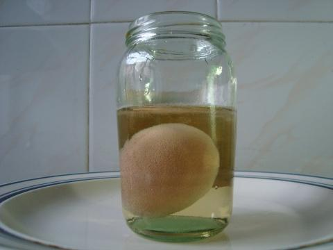 醋蛋液的功效与作用及做法 醋蛋液的功效与作用及做法窍门