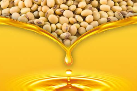 大豆油的功效与作用，大豆油和菜籽油哪个好