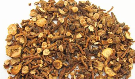 蒲公英根怎么发酵红茶，蒲公英发酵茶制作方法