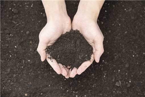 复合肥是什么肥料 复合肥是什么肥料可以养花吗