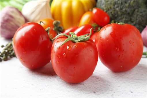 西红柿落花落果原因是什么 西红柿落花落果是什么原因西红柿芽枯病防治