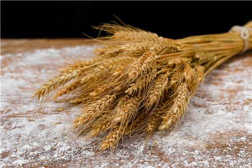 2020年河南小麦价格多少钱一斤