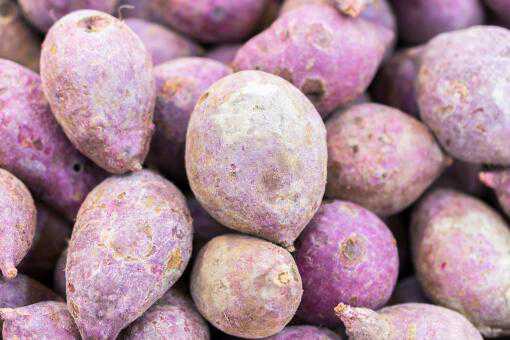 紫薯的功效与作用有哪些（紫薯的功效与作用有哪些呢）