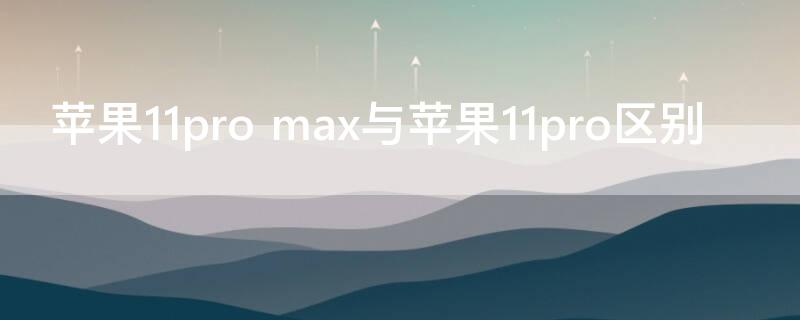 iPhone11pro max与iPhone11pro区别