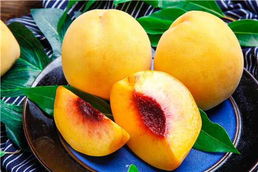 黄桃是热性还是凉性水果