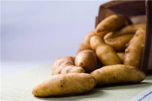 发芽的马铃薯含有什么毒素 发芽的马铃薯含有什么毒素是几年级的知识