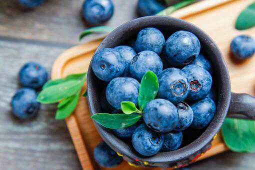 一亩地能收多少斤蓝莓苗 一亩地能收多少斤蓝莓