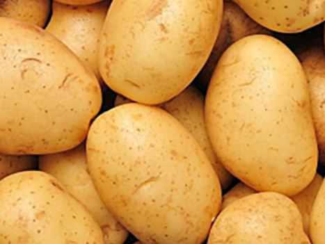 2020年土豆价格多少钱一斤 2020年土豆价格怎么样