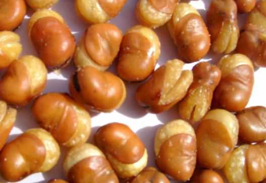 蚕豆一般什么时间种植、采收 蚕豆在几月份播种