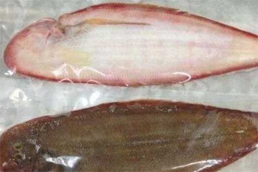 舌头鱼价格多少钱一斤 舌头鱼图片多少钱一斤