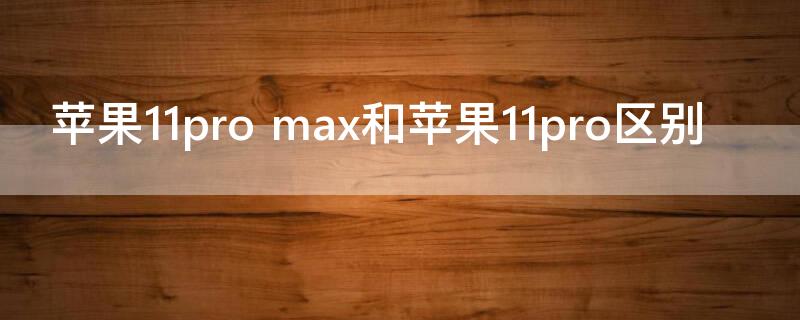 iPhone11pro max和iPhone11pro区别