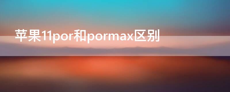 iPhone11por和pormax区别