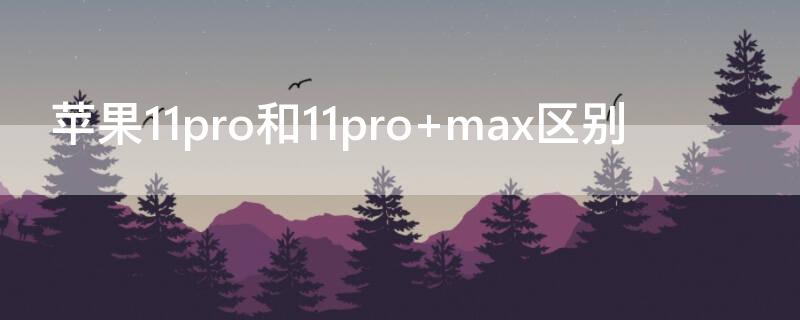 iPhone11pro和11pro max区别