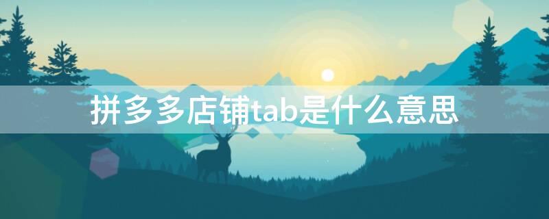 拼多多店铺tab是什么意思