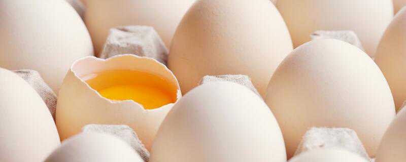 鸡蛋清可以生吃吗 鸡蛋清可以生吃吗有毒吗