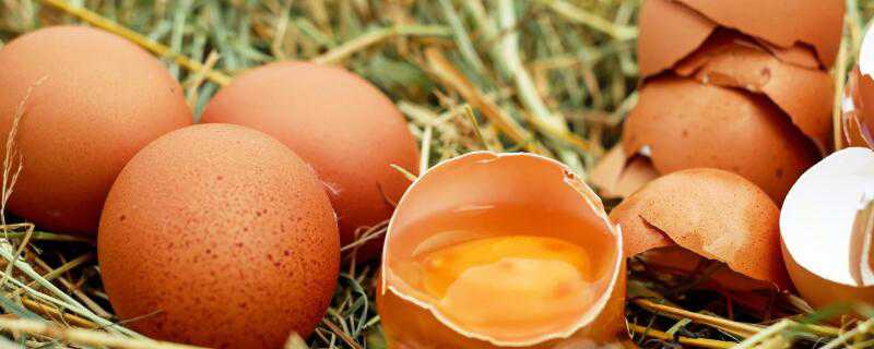 国内鸡蛋可以生吃吗 国内的生鸡蛋可以吃吗