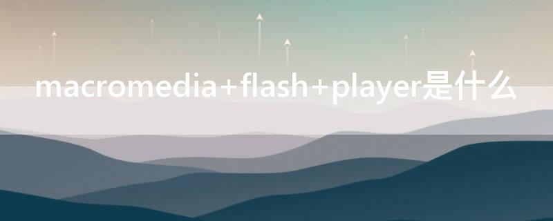 macromedia flash player是什么